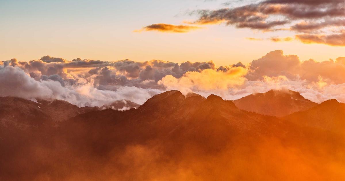 2026 혈당 스파이크 다이어트 완벽 가이드 | 혈당 측정기 추천 TOP 5 비교·식단·보조제 총정리