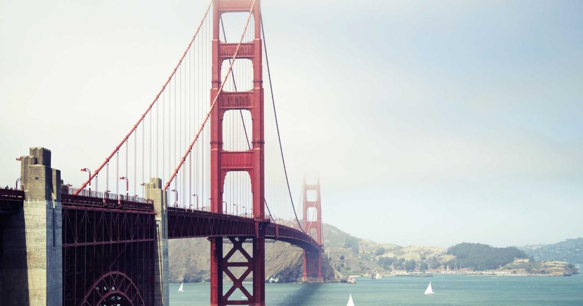 2026 말차 다이어트 효과 진짜일까? 말차 파우더 추천 TOP 5 성분·가격 비교 총정리