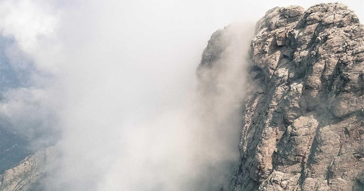 저속노화 뜻·실천법 2026 총정리 — 노화 늦추는 영양제 TOP 5 비교와 식단 가이드