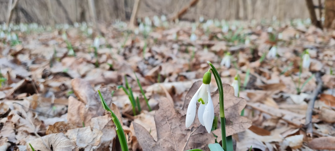 featured 1775716789330