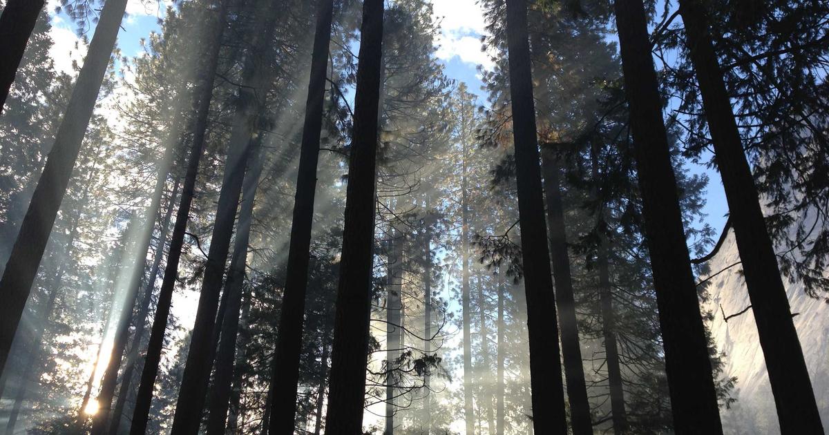 featured 1776476215006