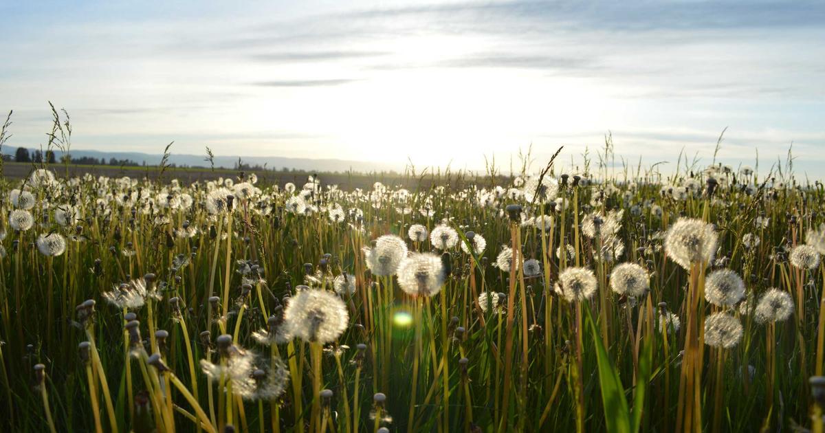 featured 1776671805431