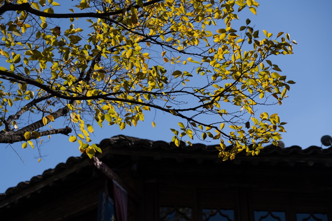 featured 1776989512092