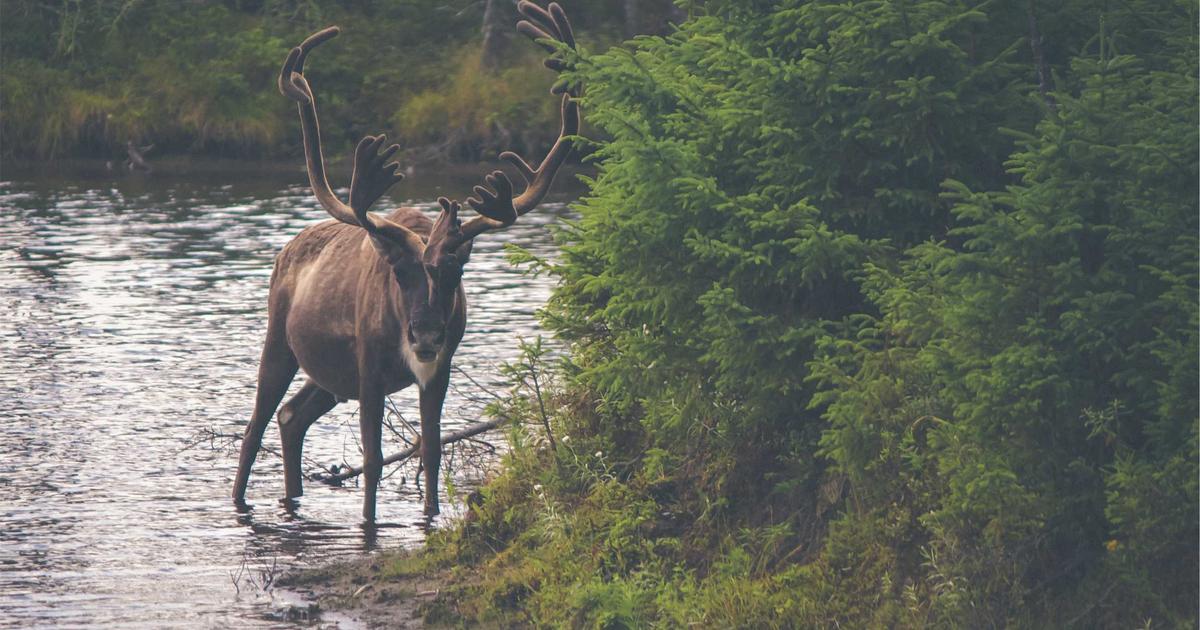 featured 1777283641344